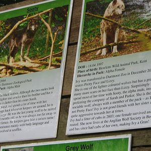 Dartmoor Zoo June 2009