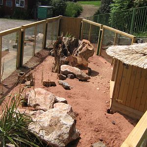 Dartmoor Zoo June 2009