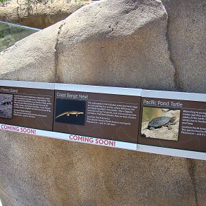 Streamside exhibit species