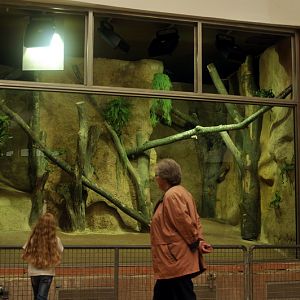 New python-exhibit at munich zoo