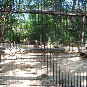 South American Exhibit