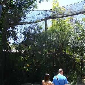 African Kopje aviary