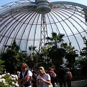 Orang-utan enclosure