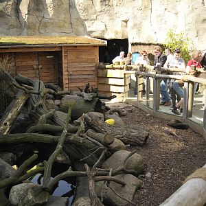 Otterenclosure at Bremerhaven zoo