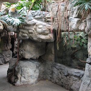 Lied Jungle - Reptile Exhibits