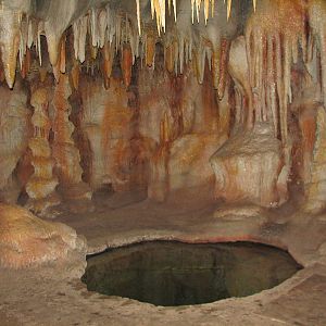 Kingdoms Of The Night - Wet Cave with 16' Deep Blind Cave Fish Exhibit
