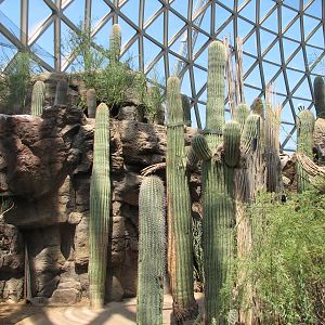 Desert Dome - Sonoran landscape