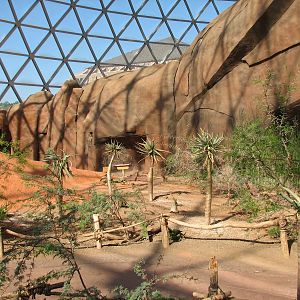 Desert Dome - Namib landscape