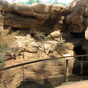 Desert Dome - Klipspringer and Meerkat Exhibit