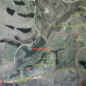Satellite View of the Wilds