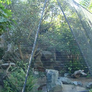 Aviary