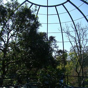 Owens Rain Forest Aviary