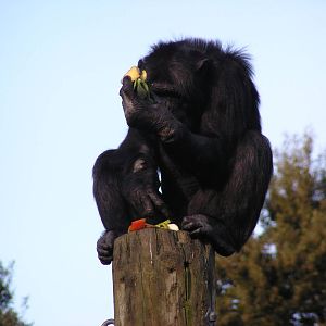 Mike Eating on top of pole safer than sharing