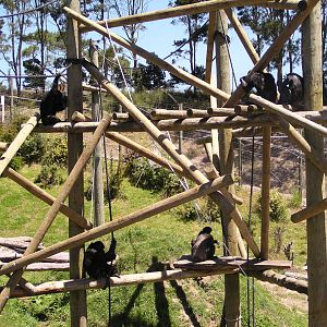 Plenty of room for all