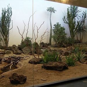 Indoor Desert exhibit