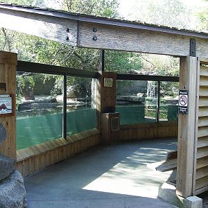 Otter exhibit