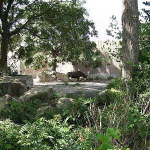 Black Rhino Yard