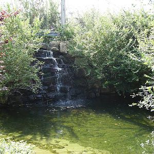 Australian waterfall