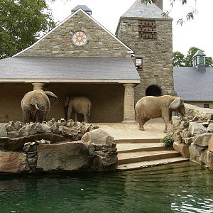Elephant exhibit