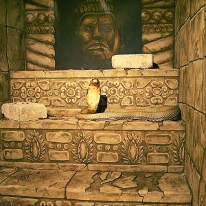 King Cobra performing