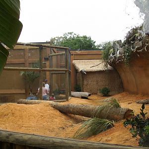 Komodo Dragon exhibit