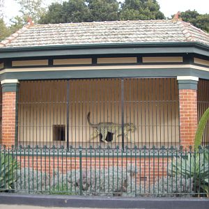 Melbourne Zoo July 2009