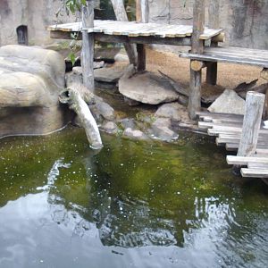 Melbourne Zoo July 2009