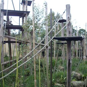 Melbourne Zoo July 2009