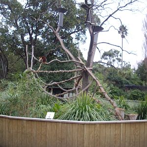 Melbourne Zoo July 2009