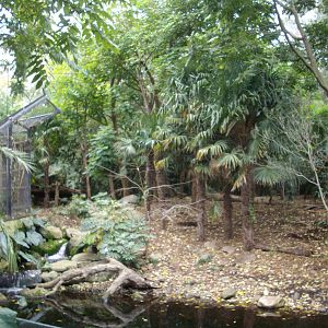 Melbourne Zoo July 2009