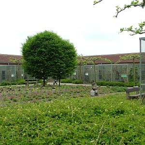 Australian Parrot aviaries at Plantaria 14/05/09