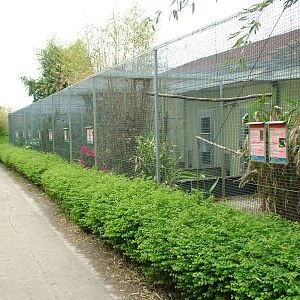 Asian aviaries at Plantaria 14/05/09