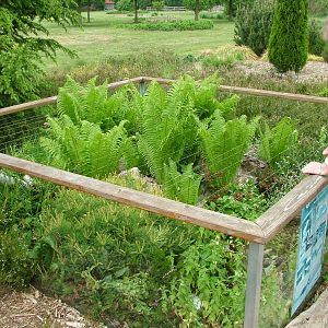 European reptile exhibit at Plantaria 14/05/09