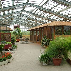 Mian greenhouse interior at Plantaria 14/05/09
