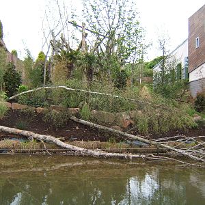 Outside enclosure at Budungo