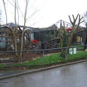 Fossa enclosure