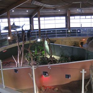 Top Level showing three reptile pits