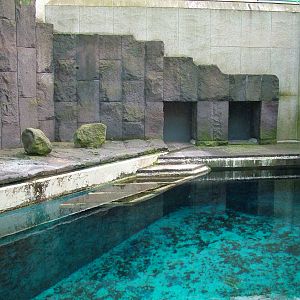 Former fur seal pool at Aquazoo 14/05/09