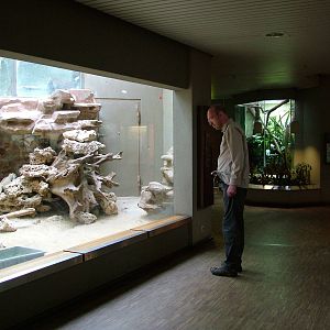 Reptile enclosures at Aquazoo 14/05/09