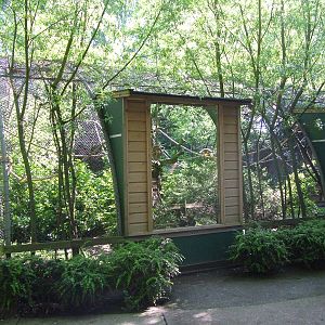 Squirrel monkey exhibit at BestZoo 16/05/09