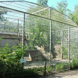 Cat cages at BestZoo 16/05/09