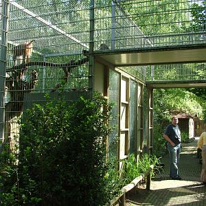 Monkey cages at BestZoo 16/05/09