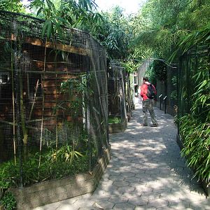 Marmoset cages at BestZoo 16/05/09