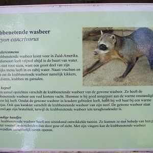 Signage example at BestZoo 16/05/09