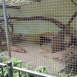 Part of the Crab-eating Raccoon exhibit at BestZoo 16/05/09