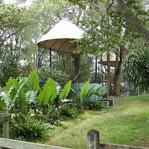 Aviaries