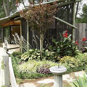 South Walk/Lemur pens