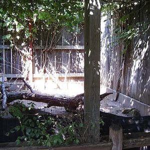 Native wildlife enclosure