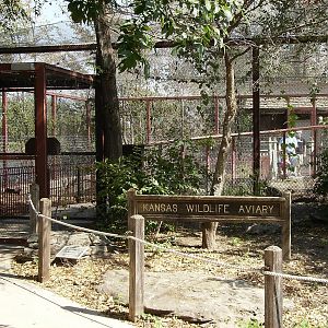 Aviary