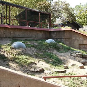 Prairie Dog Exhibit